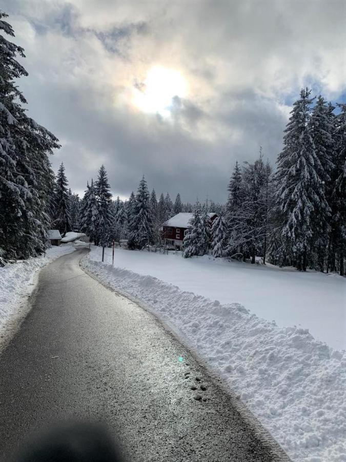 Ferienwohnung Heide Freudenstadt Exteriör bild